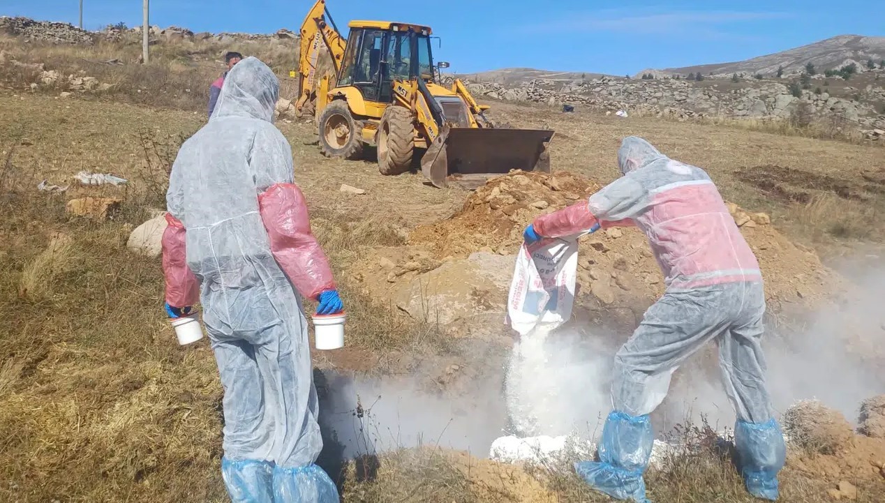 Gümüşhane’de şarbon hastalığı nedeniyle 6 köye giriş çıkış yasaklandı