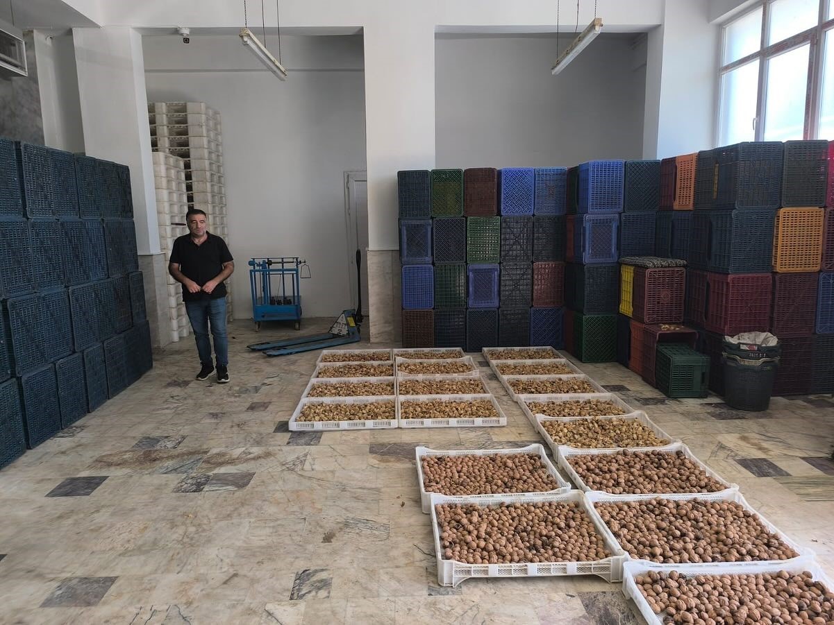 Köşk’te kuru incir depolarına sıkı denetim