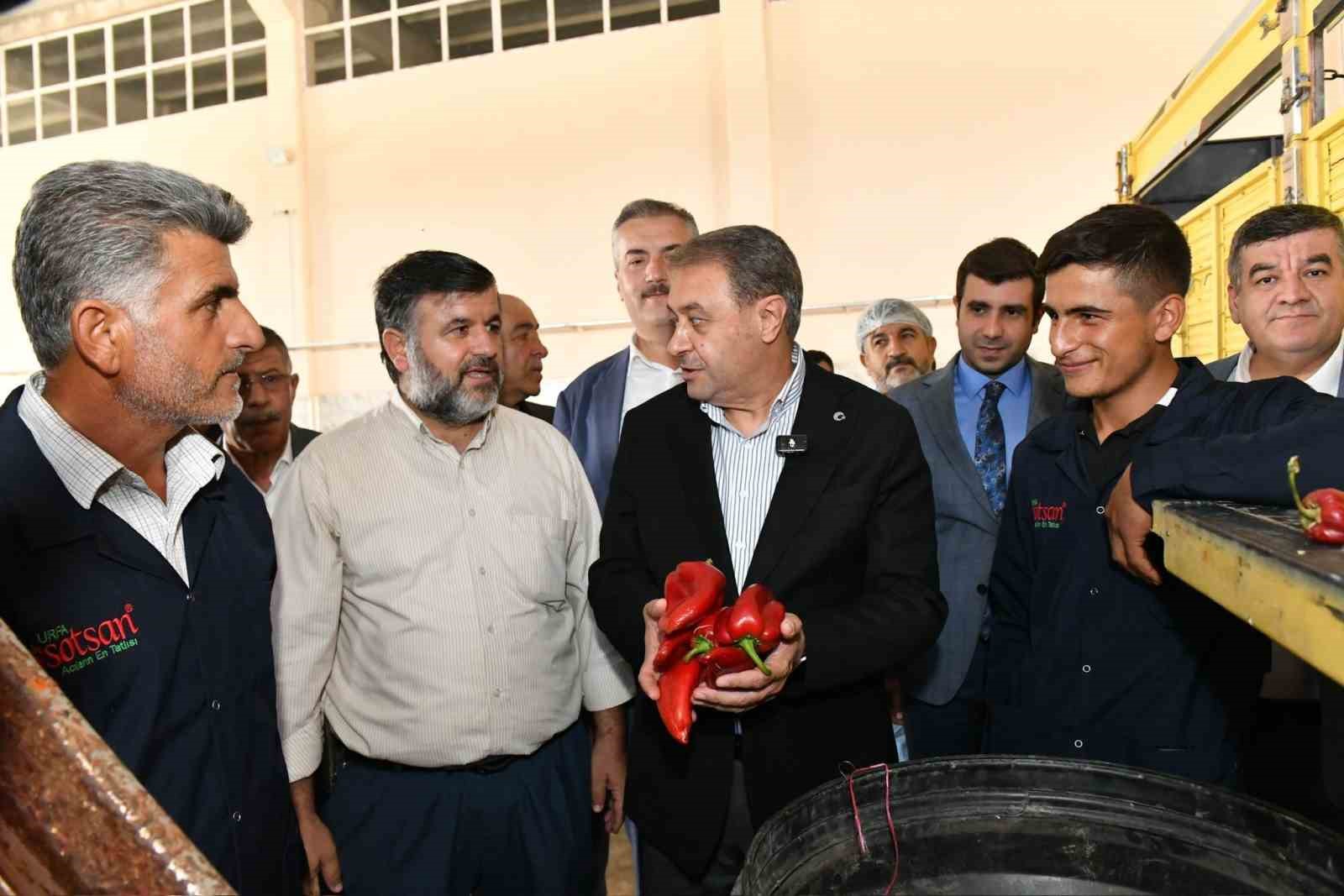 Şanlıurfa Valisi Hasan Şıldak Gıda OSB’de incelemelerde bulundu