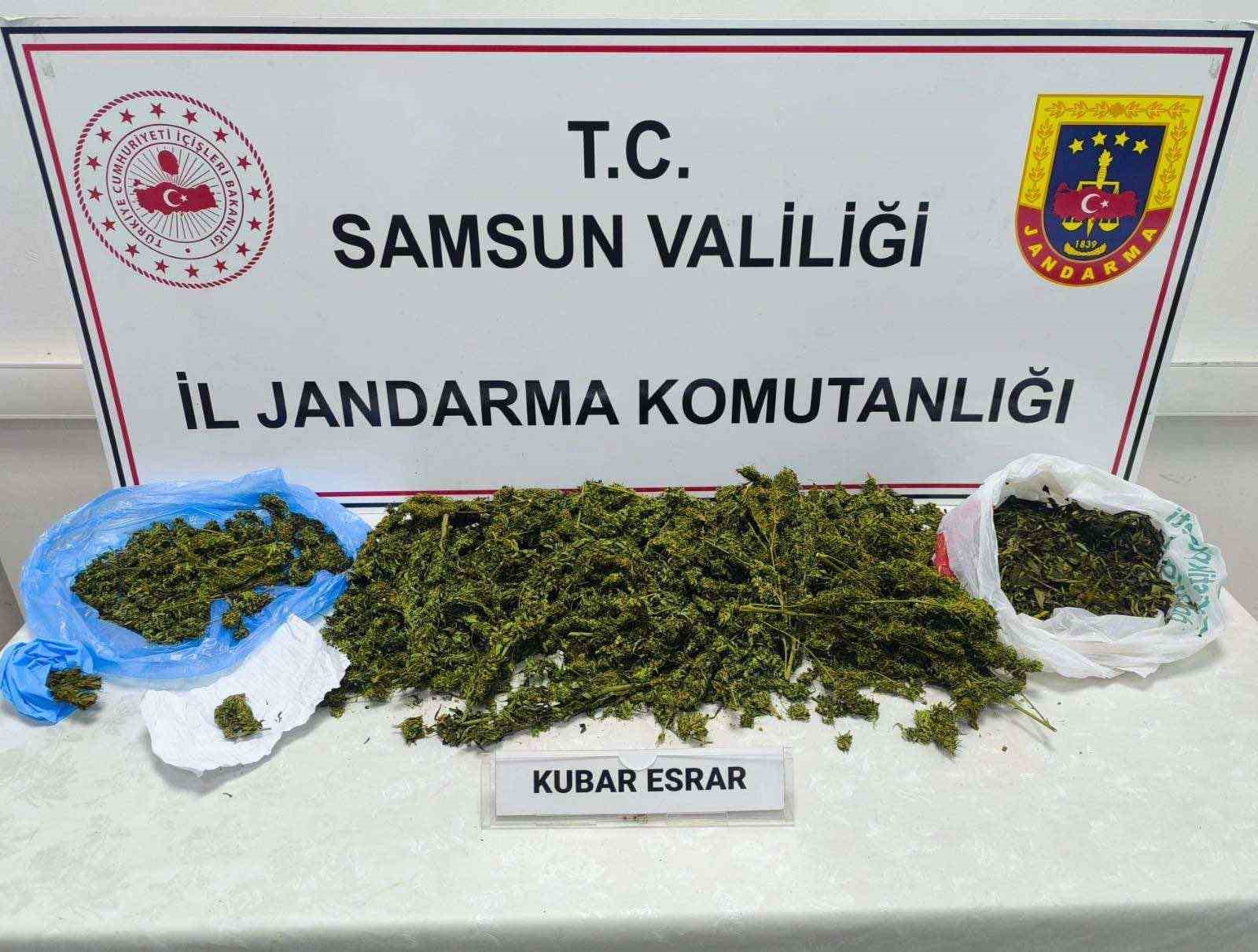 Samsun’da jandarmadan uyuşturucu operasyonu: 1 gözaltı