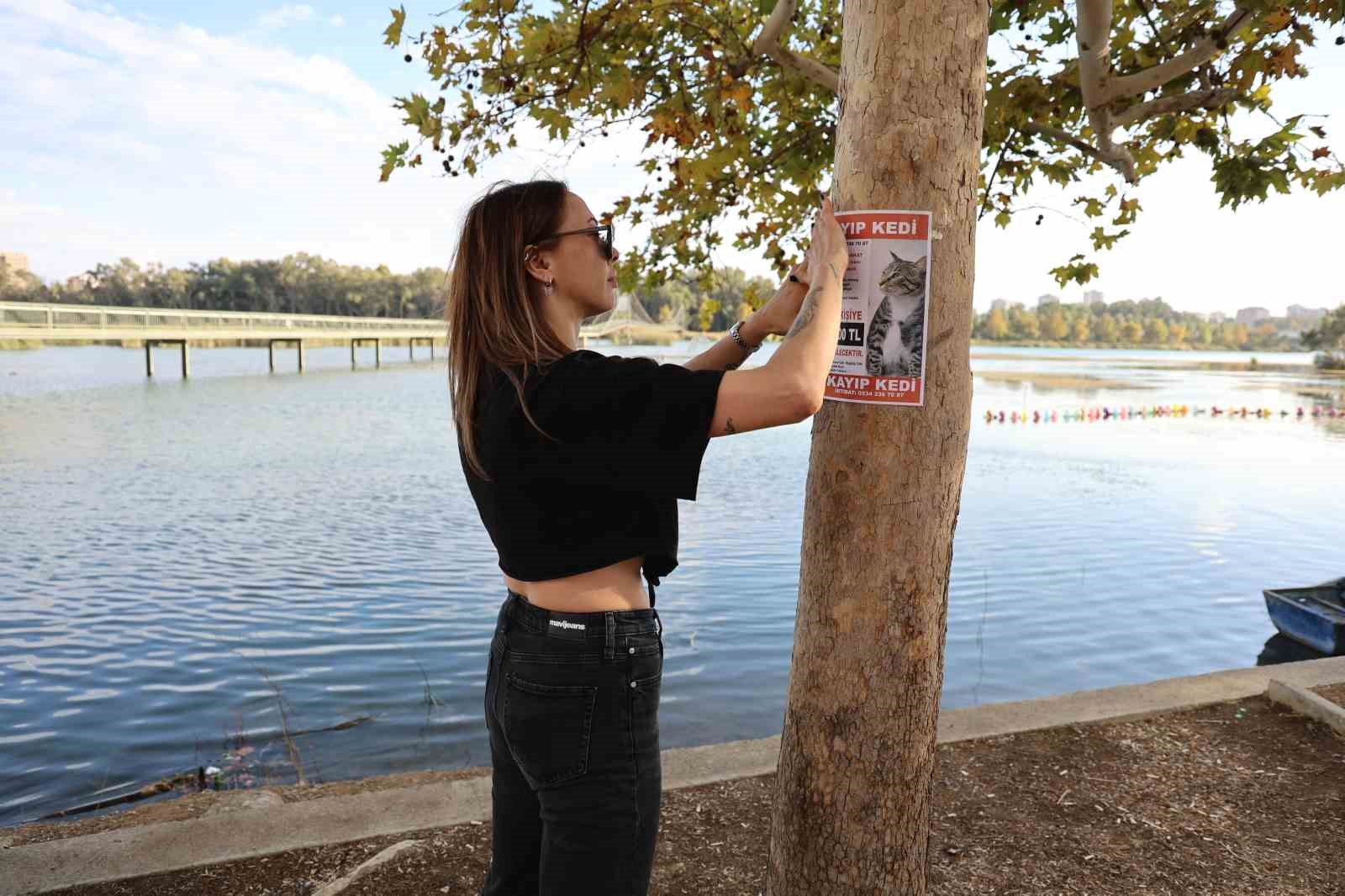 Kayıp kedisini bulana 100 bin lira ödül verecek