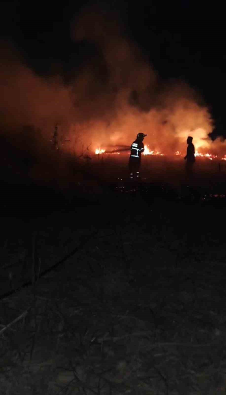 Batman’da anız yangını: 30 dönümlük alan kül oldu