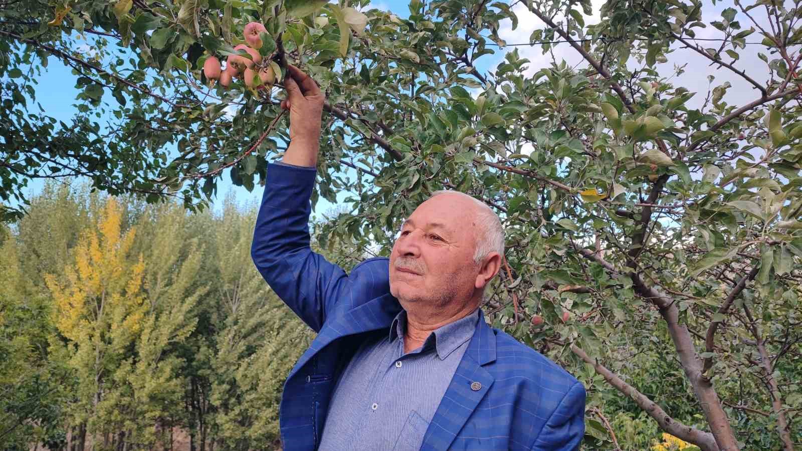 60 yaşındaki çiftçi: 