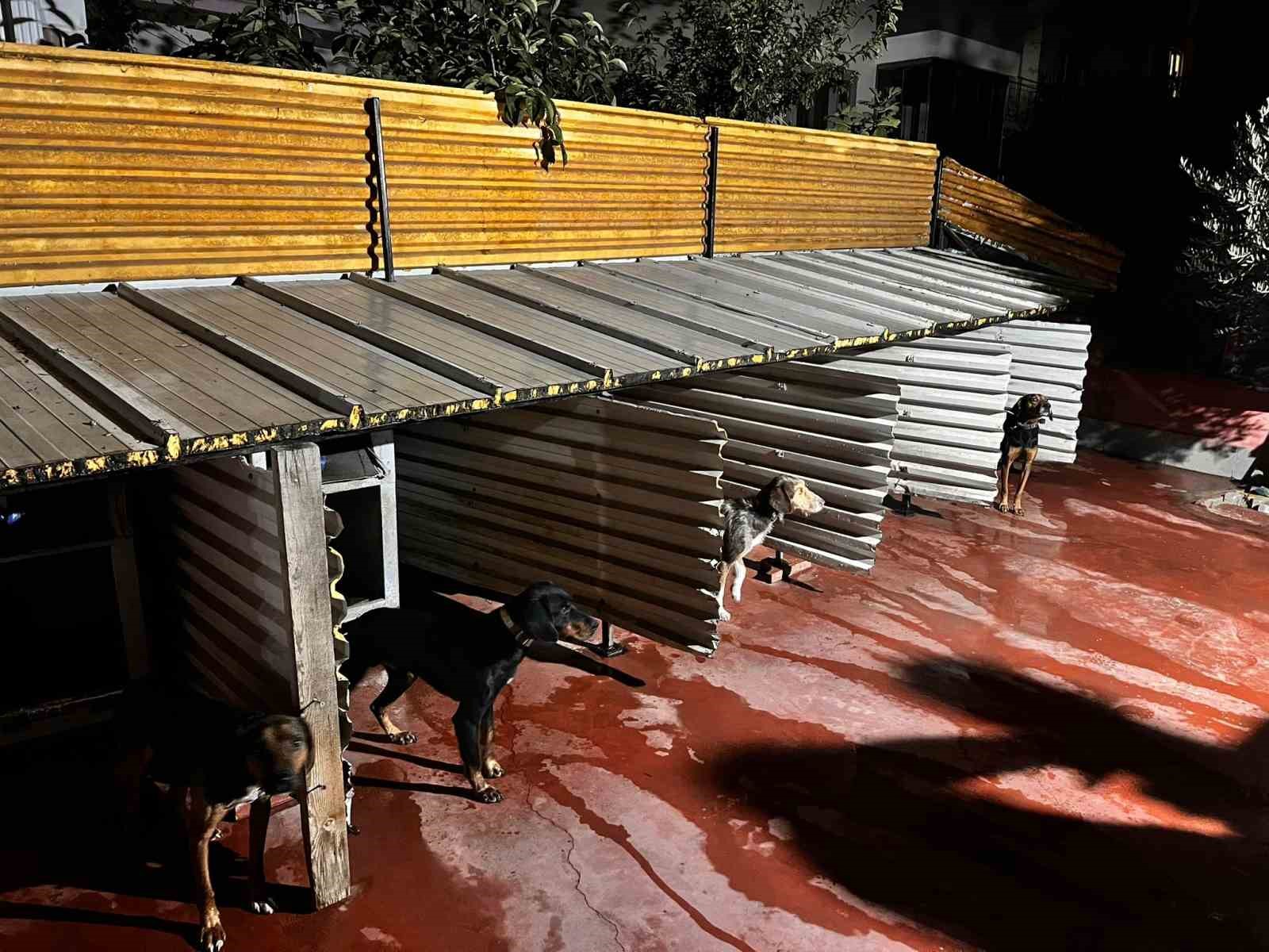 Tepkiye neden olan görüntüler sonrası Emniyet harekete geçti