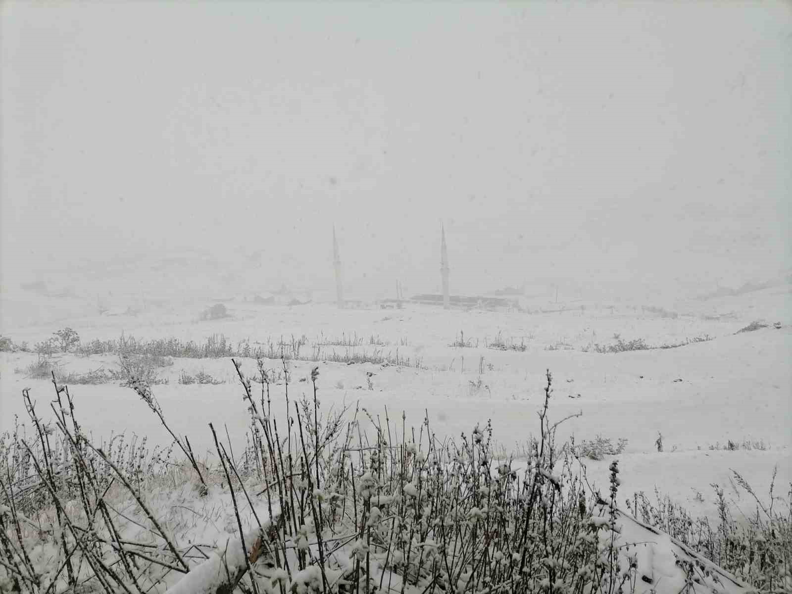 Gümüşhane’nin yüksek kesimleri kara teslim oldu