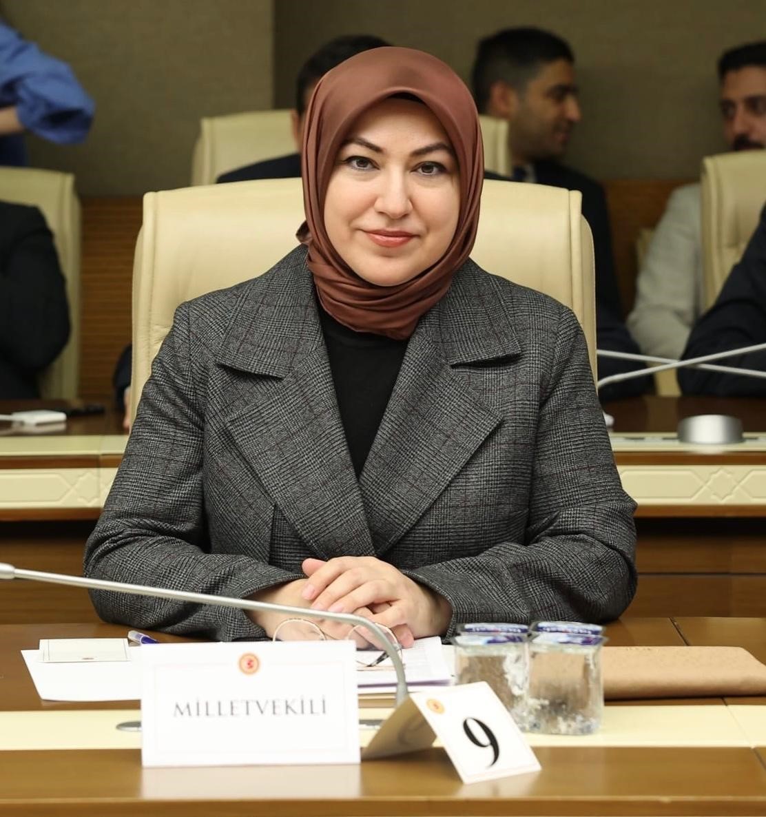 Türkiye’nin doğal miraslarını ilgilendiren kanun teklifi Meclis Başkanlığı’na sunuldu