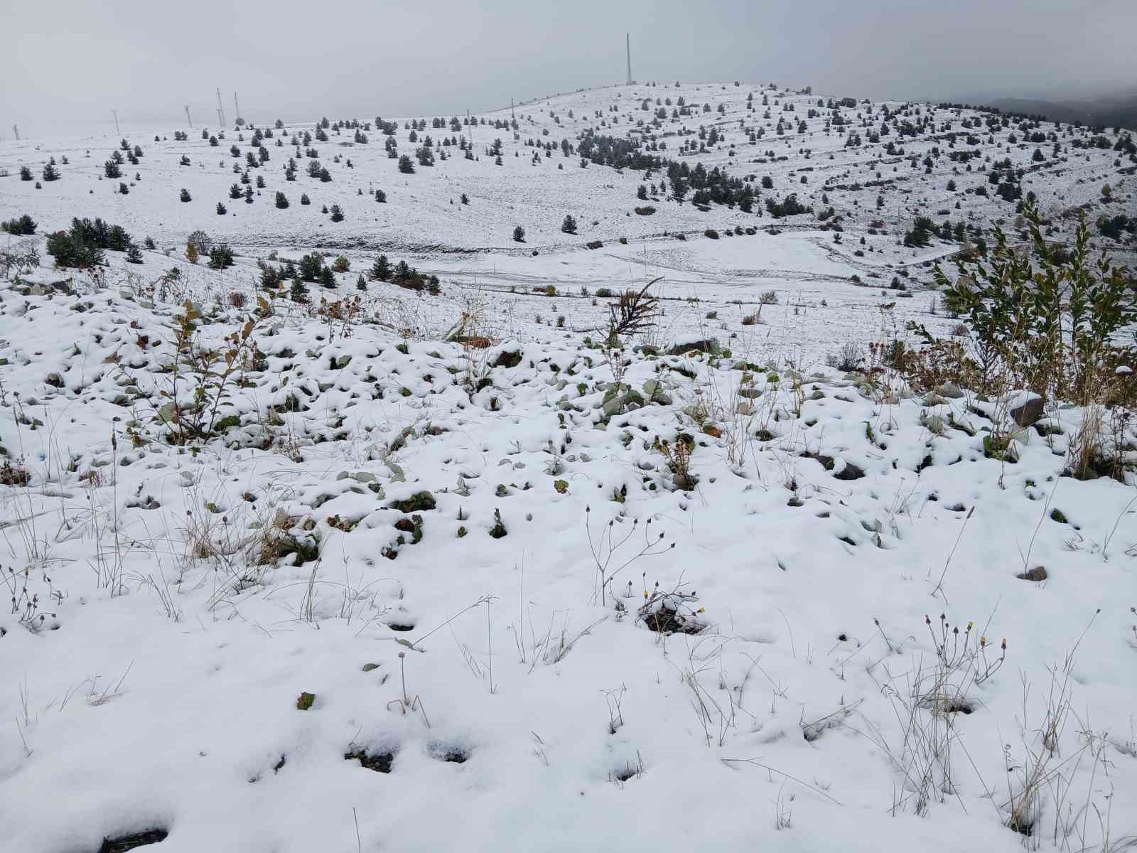Posof’ta kar yağışı etkili oldu
