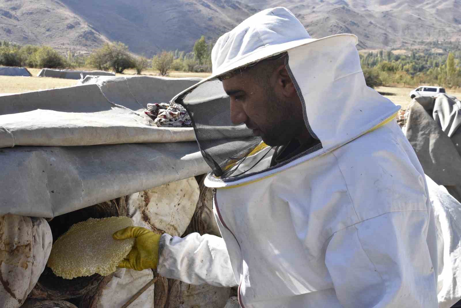 Uluslararası ödüllü Bitlis karakovan balında hasat zamanı