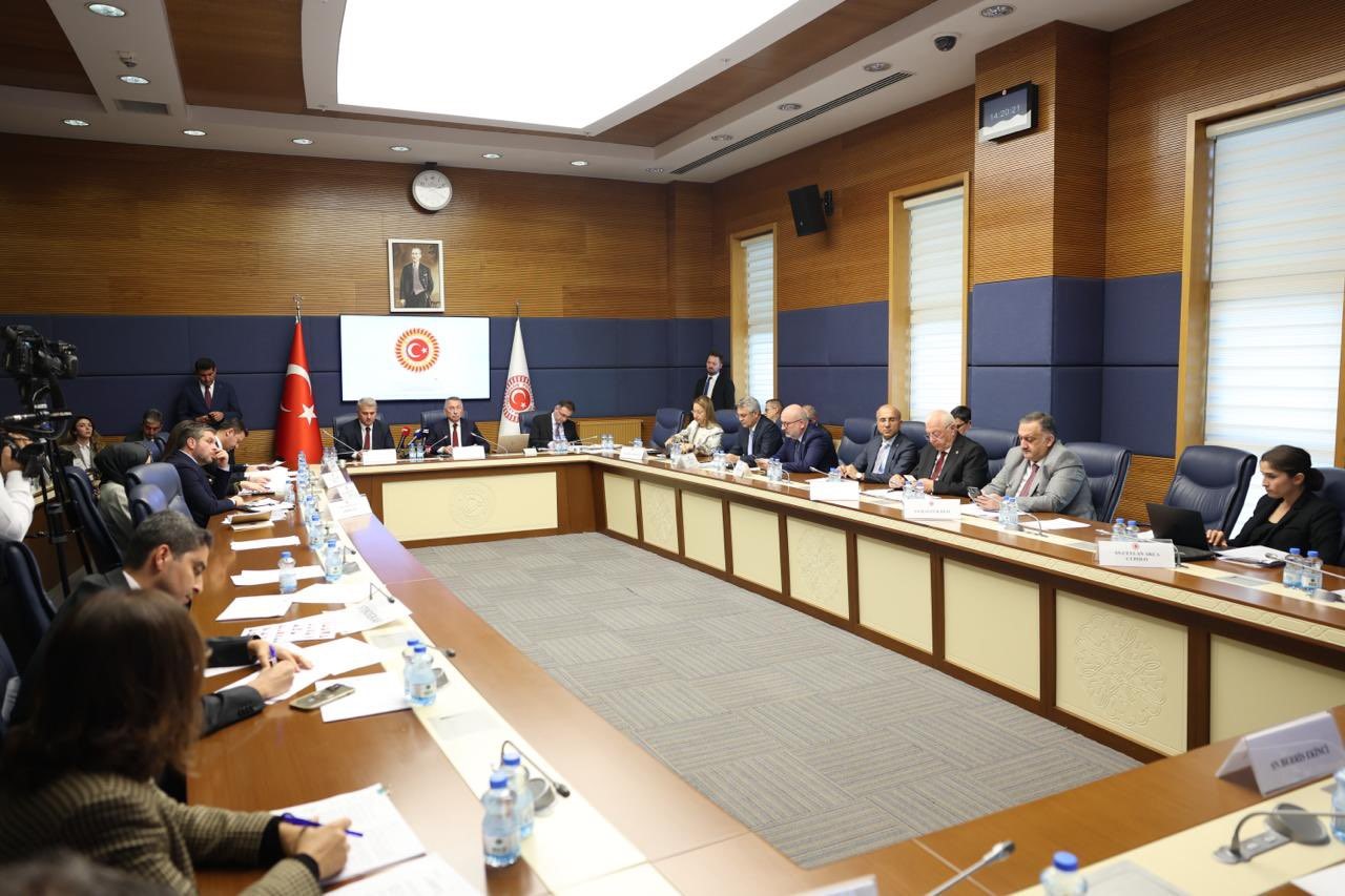 TBMM Dışişleri Komisyonu Başkanı Oktay: 