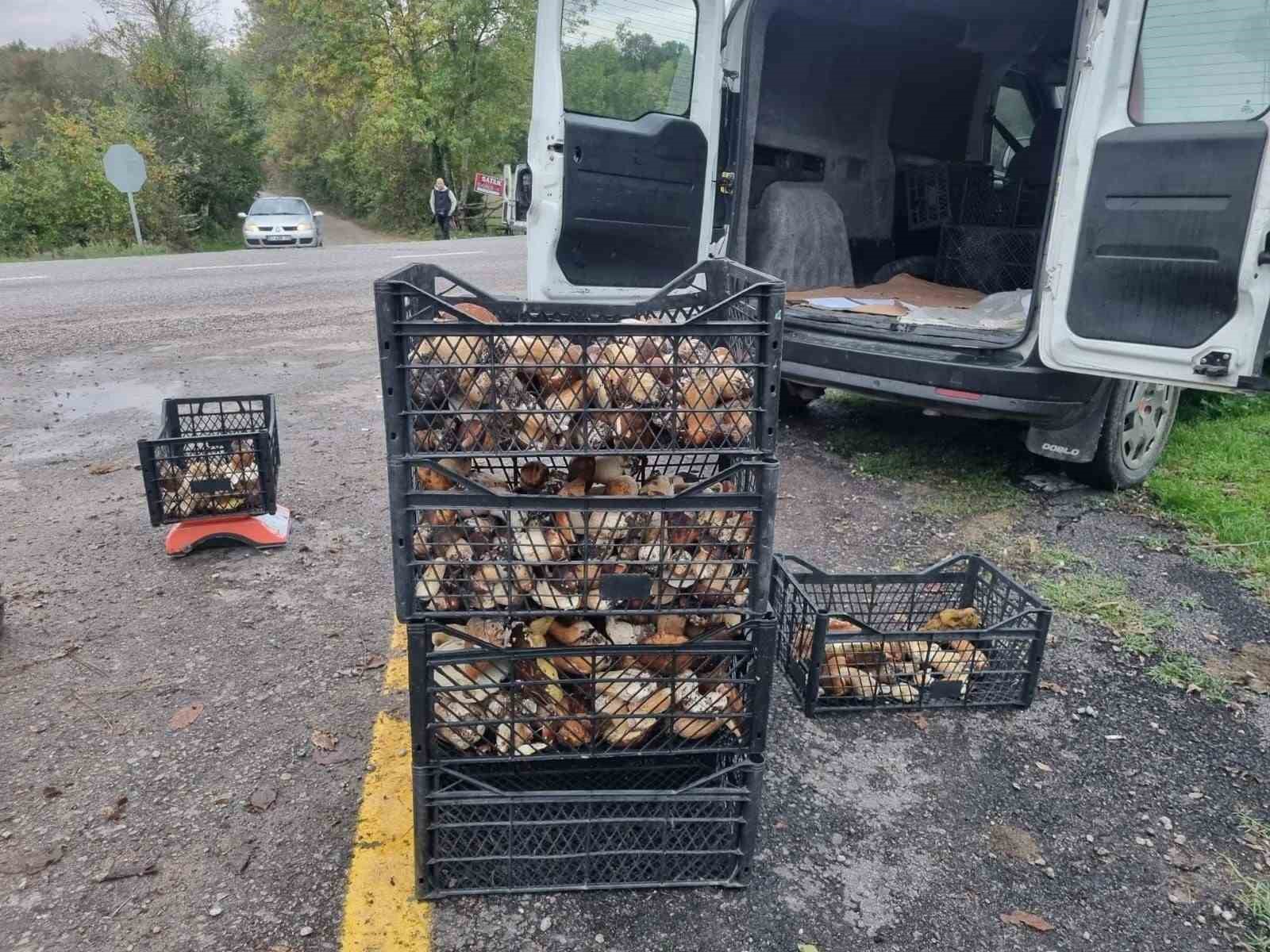 Sinop’tan Avrupa’ya mantar ihracatı