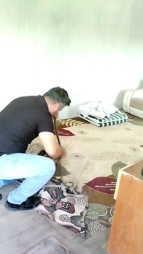 İnsanlar korkularından konteynere giremezken o elleriyle 1 metrelik yılanı yakaladı