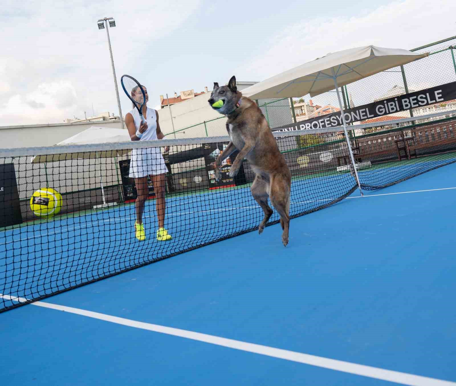 Milli Tenisçi Büyükakçay, patili dostu ile tenis oynadı