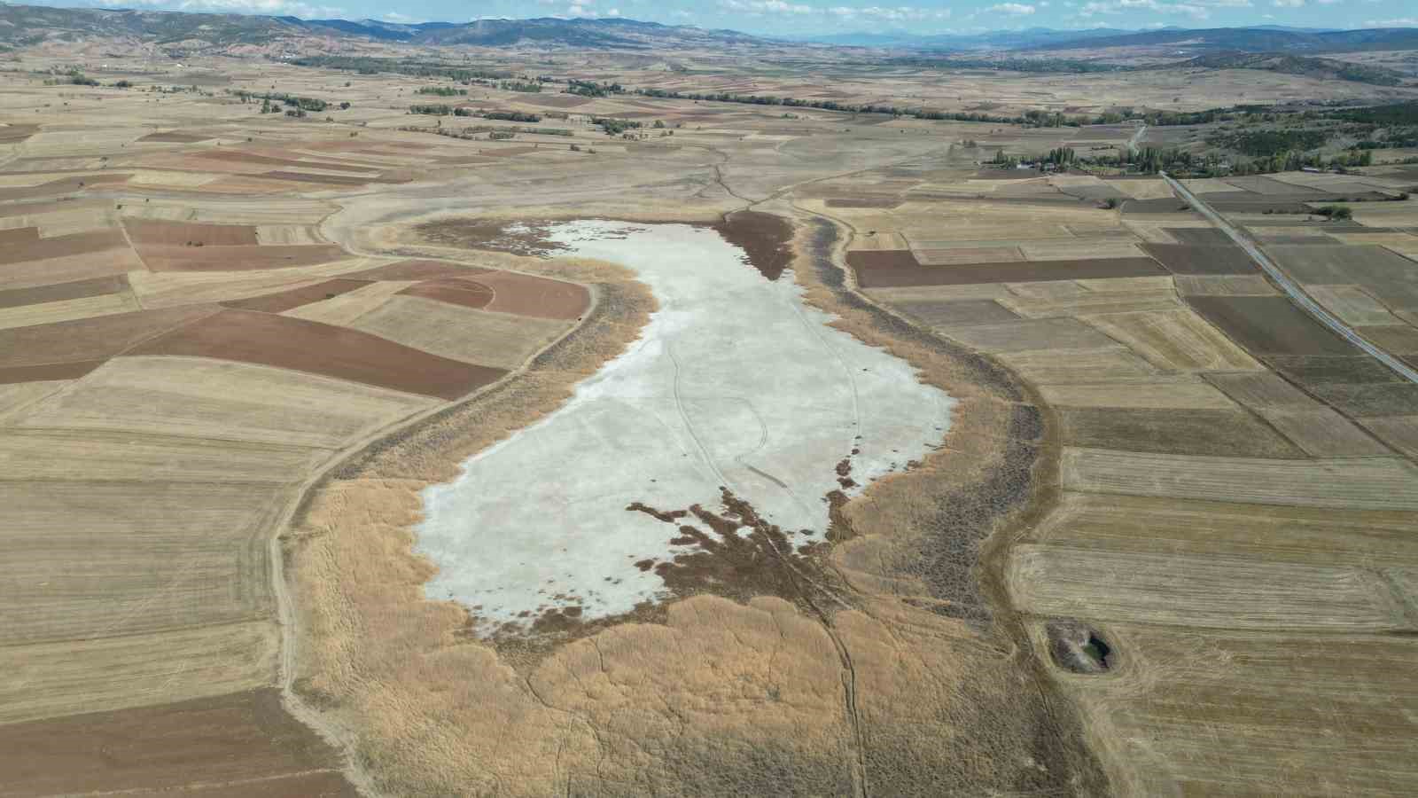 Kuşların dans ettiği Uylubağı göleti kuraklık nedeniyle çorak zemine dönüştü