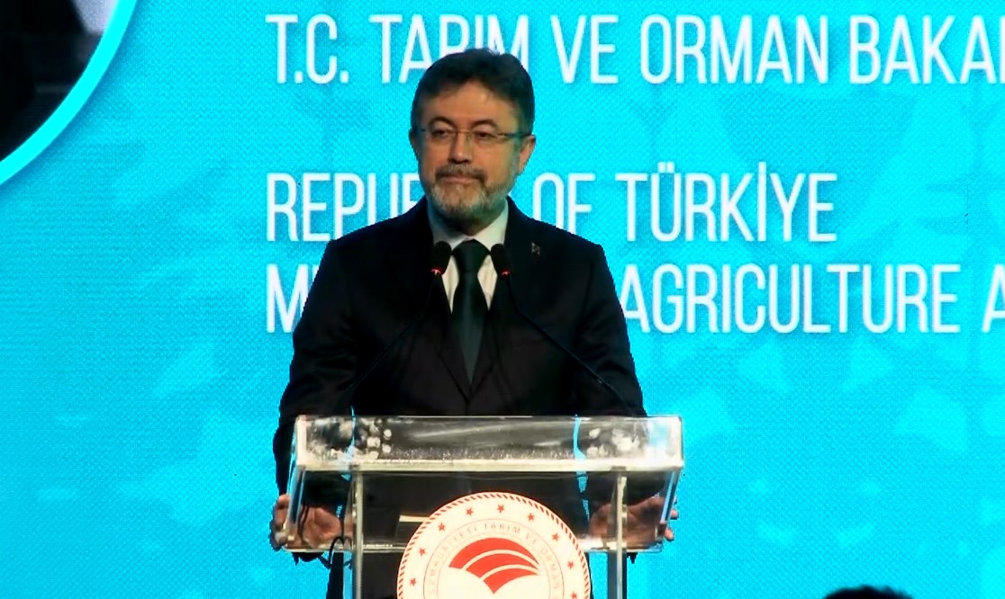 Yeşil Vatan’dan dünya ormancılığına