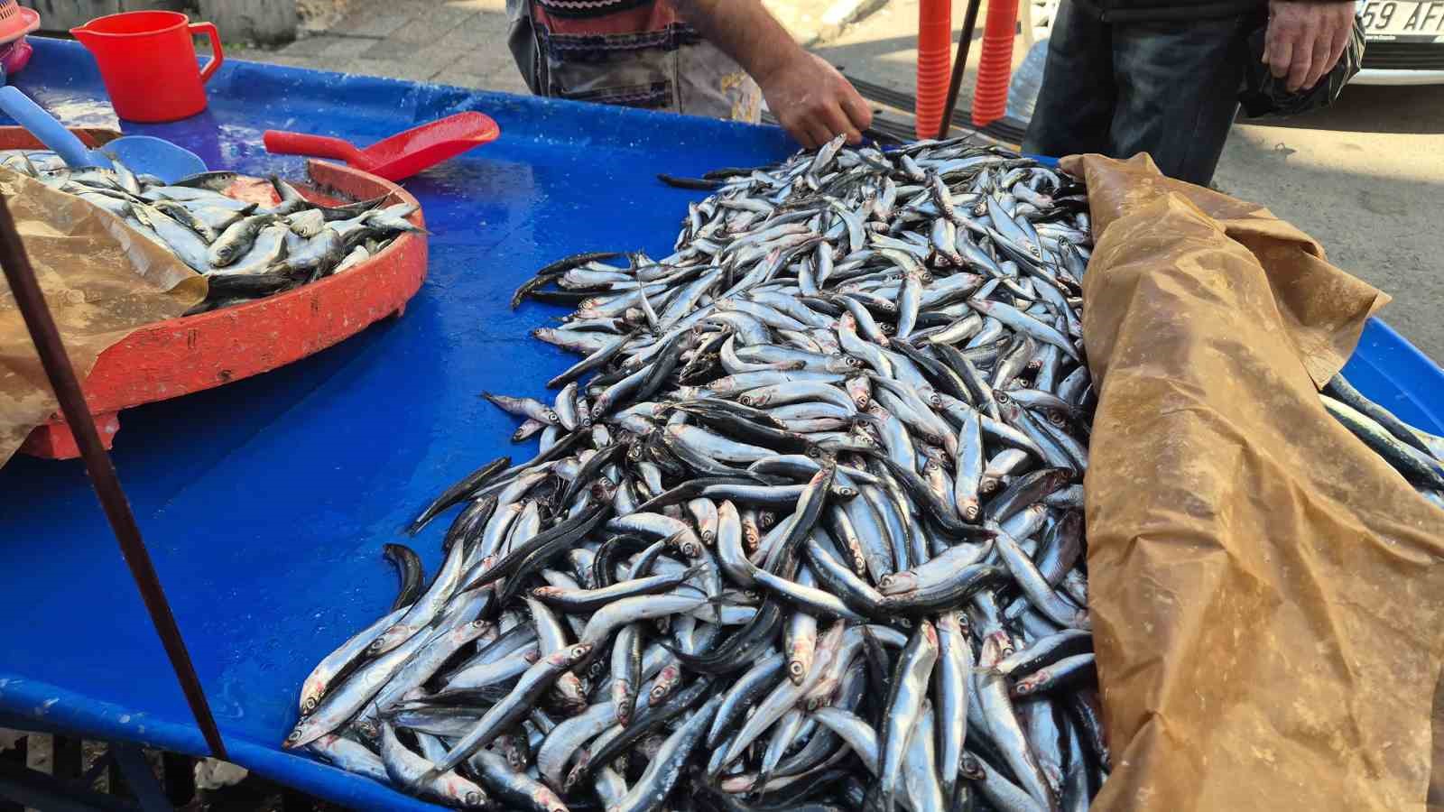 Tekirdağ’da hamsi ve sardalya 150 liradan alıcı buluyor