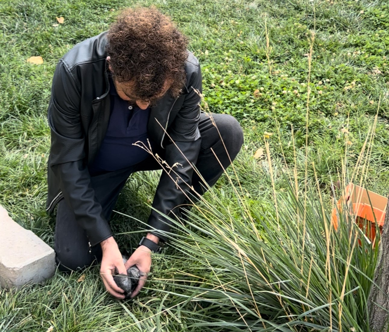 Öğretmenin fark ettiği yaralı güvercin kurtarıldı