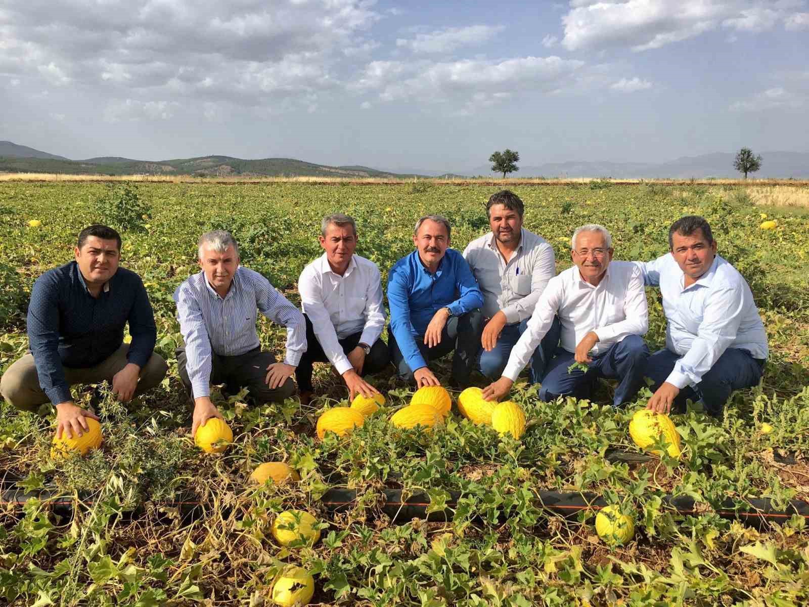 Tezgahlarda 10 liraya satılan Acıpayam kavunu tescillendi