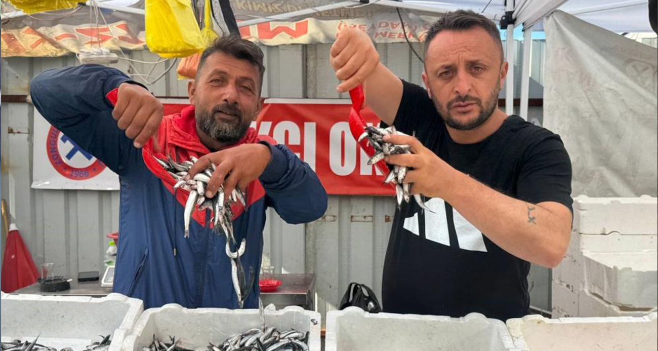 Hamsinin fiyatı 70 liraya indi, tezgahlar şenlendi