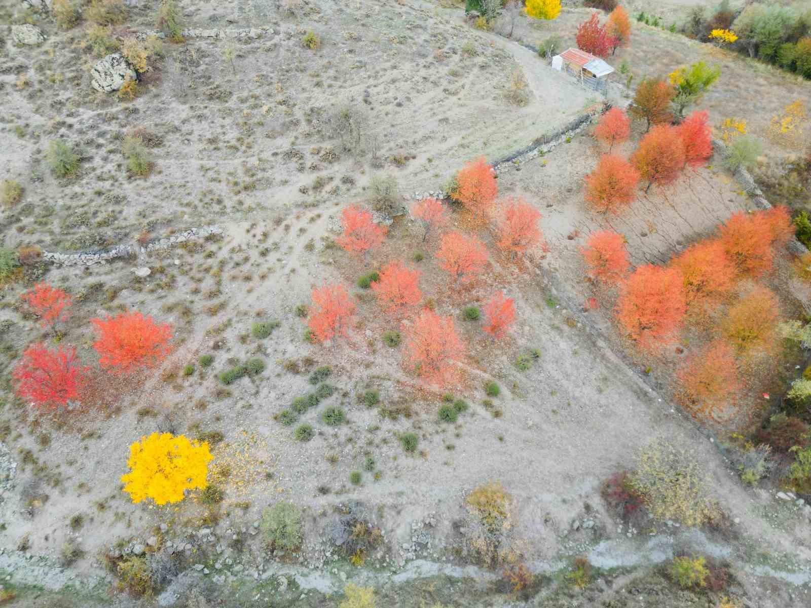 Yağlı boya tablolarını andıran sonbahar manzarası