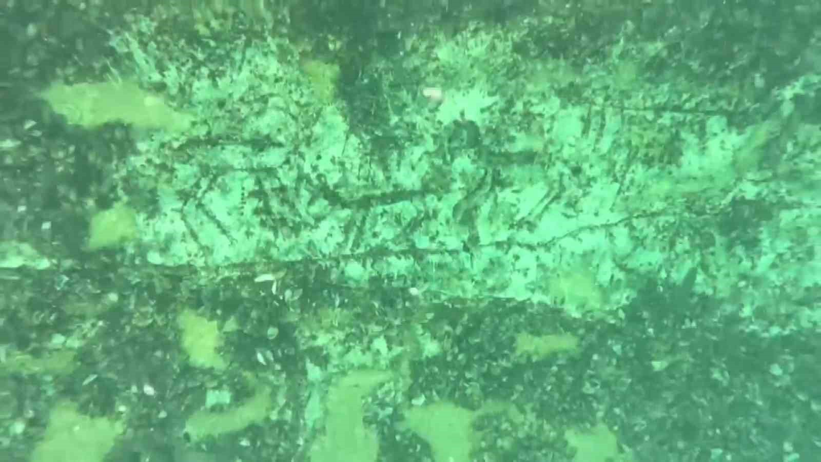 Adıyaman’da 12 bin yıllık kaya resimleri su altında görüntülendi