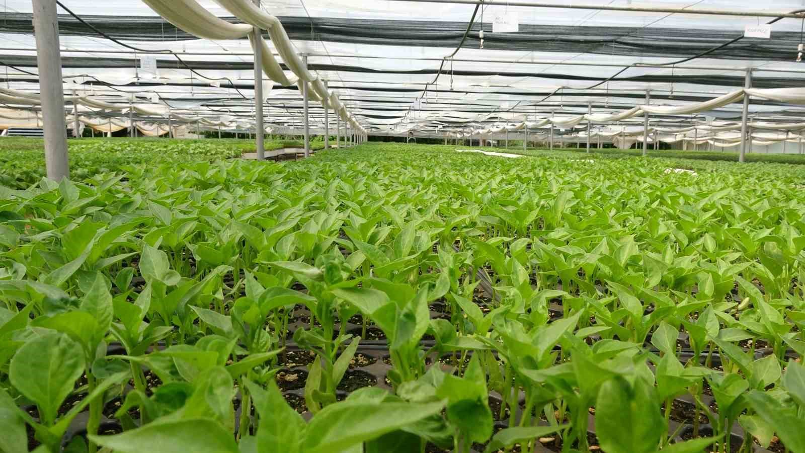 Prof. Dr. Resul Gerçekçioğlu: 