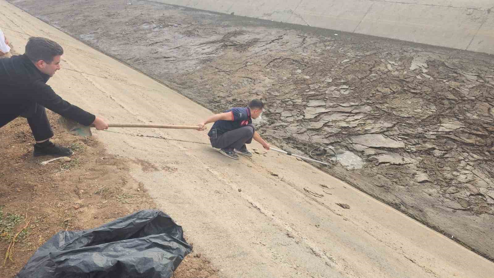 Batman’da kanala düşen köpek, itfaiye ekiplerince kurtarıldı