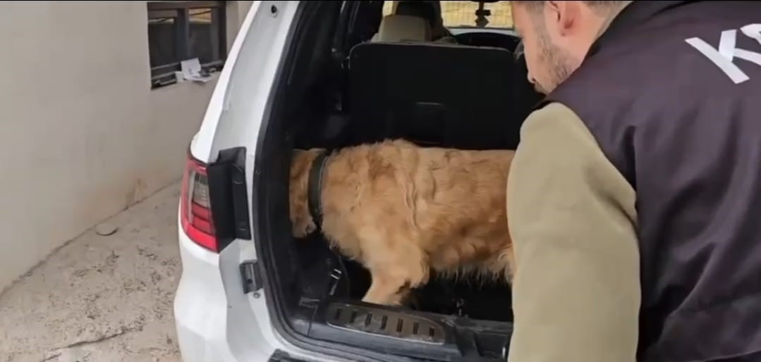 Üzümlü gümrük muhafaza ekiplerinden uyuşturucu operasyonu. Lüks otomobilde 60 kilogram metamfetamin ele geçirildi
