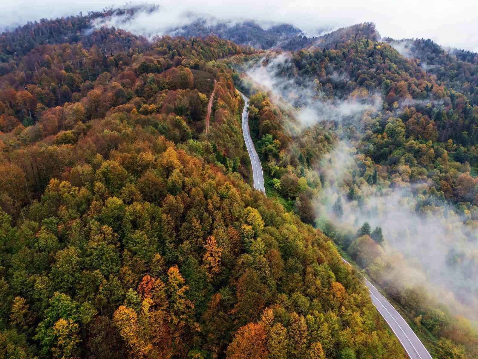 Film platosunu aratmayan manzara: Sisler altındaki Çam Dağı hayran bıraktı
