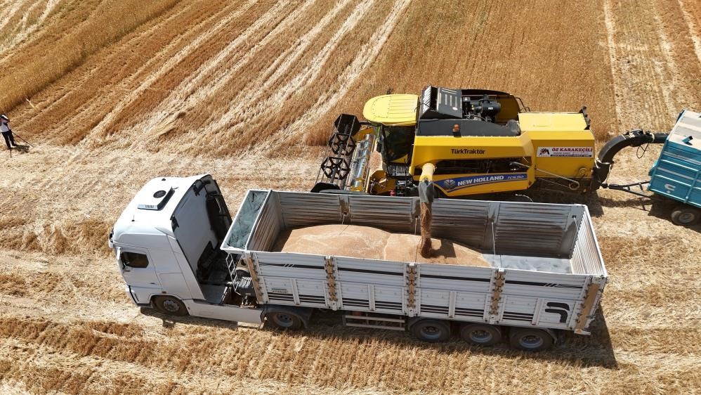 İthalat açıklaması bile arpanın ateşini düşürmedi