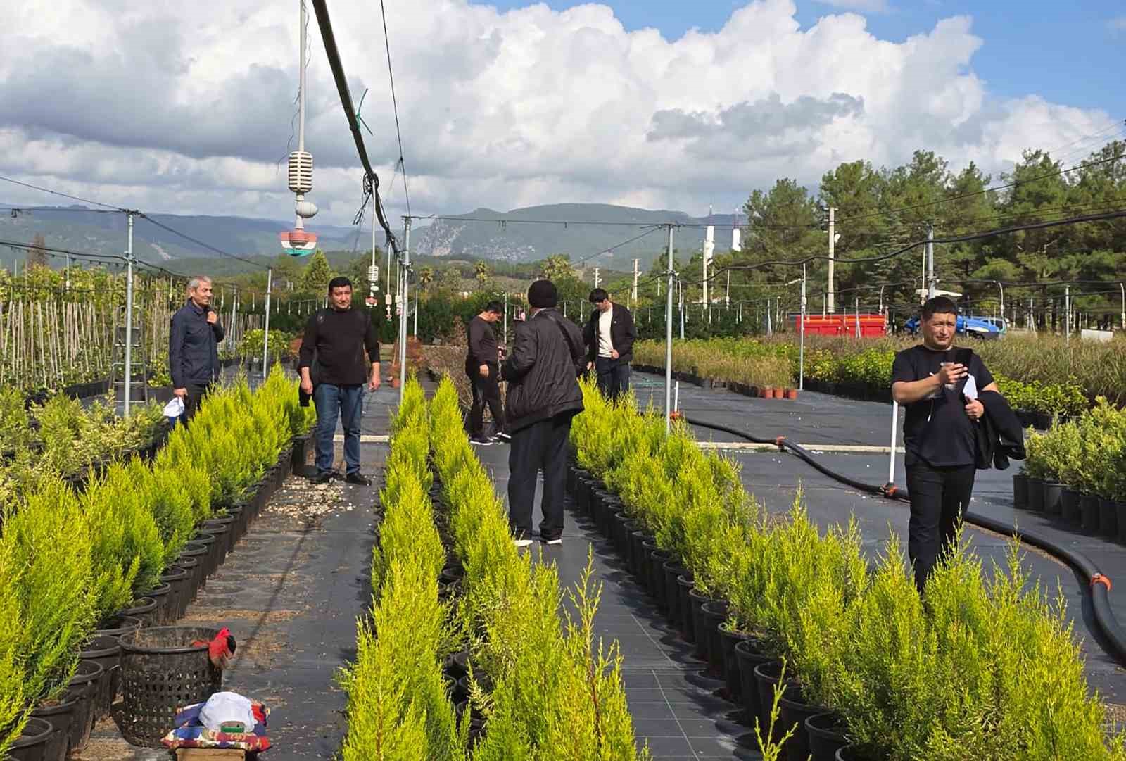 Özbek ormancılar Muğla’da incelemelerde bulundu