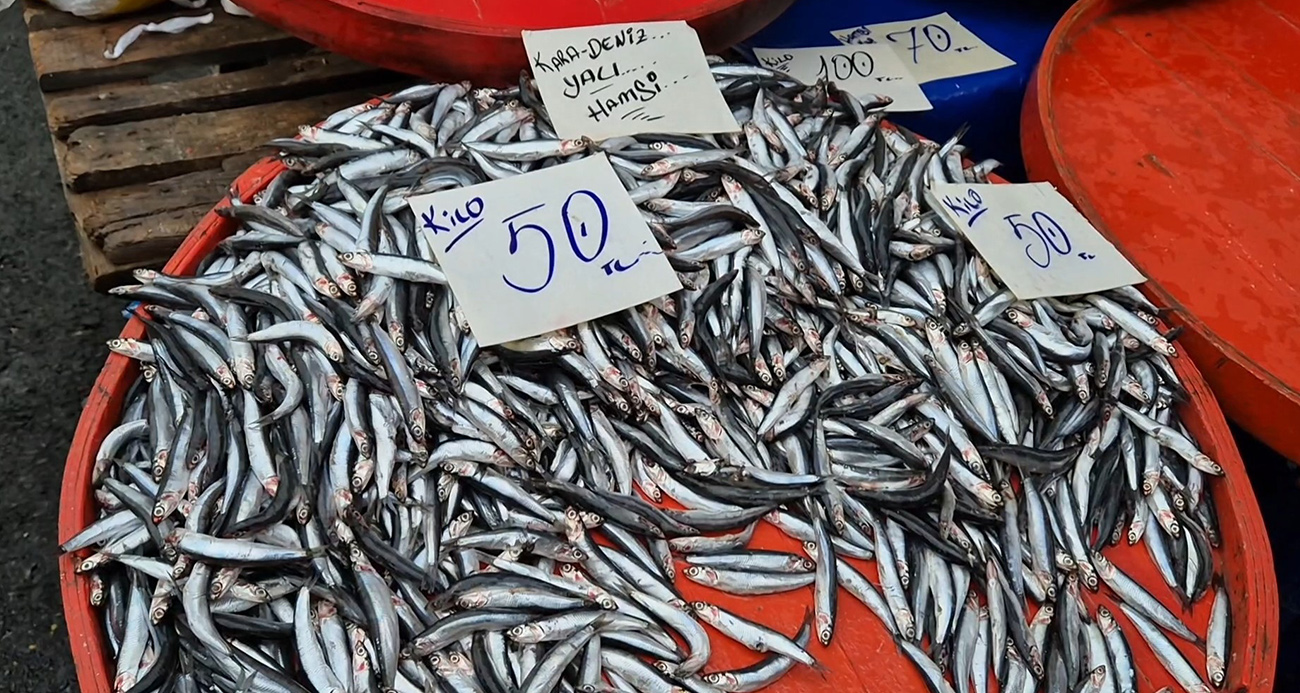 Tekirdağ’da hamsinin kilosu 50 liraya kadar düştü