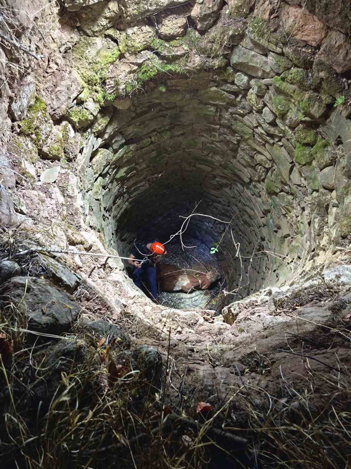 Siirt’te su kuyusuna düşen ineği ekipler kurtardı
