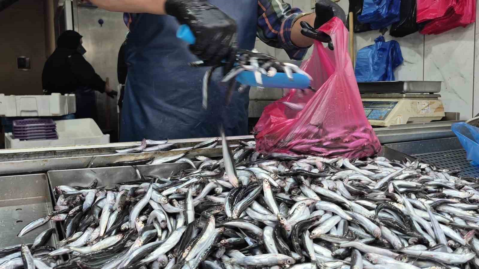 Yaz sıcakları palamudu vurdu, yerini hamsi aldı