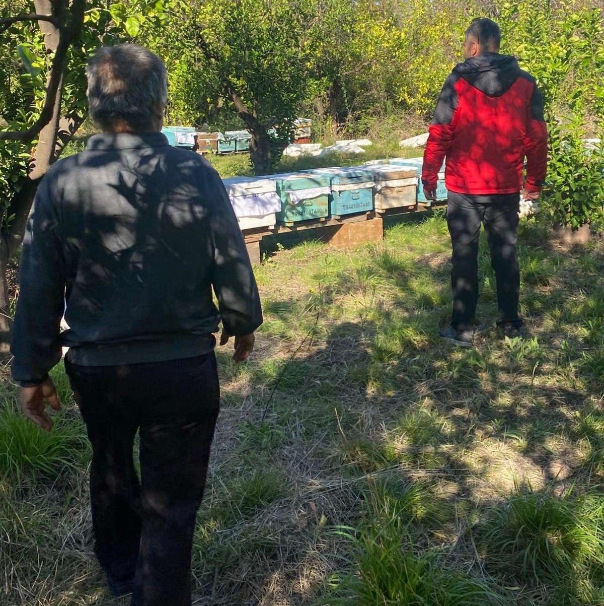 Ortaca’da arılı kovan desteklemeleri devam ediyor