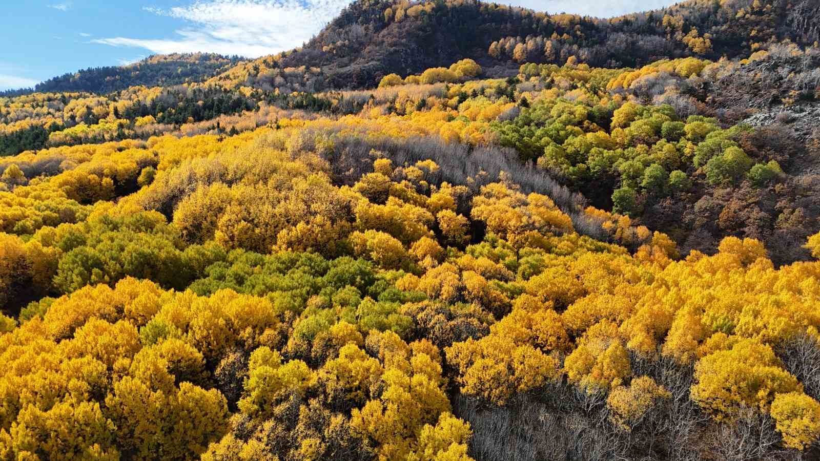 Ankaralıların doğayla buluşma noktası: 