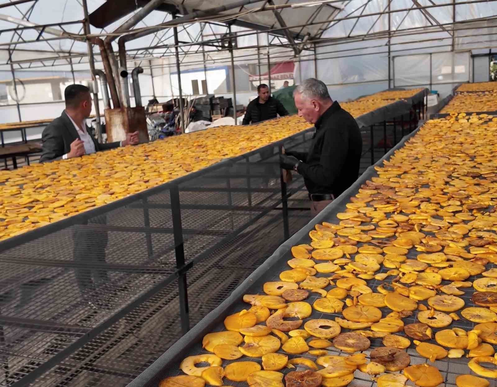 Honaz’ın meşhur cennet hurması bu kez cips olarak damakları şenlendirecek