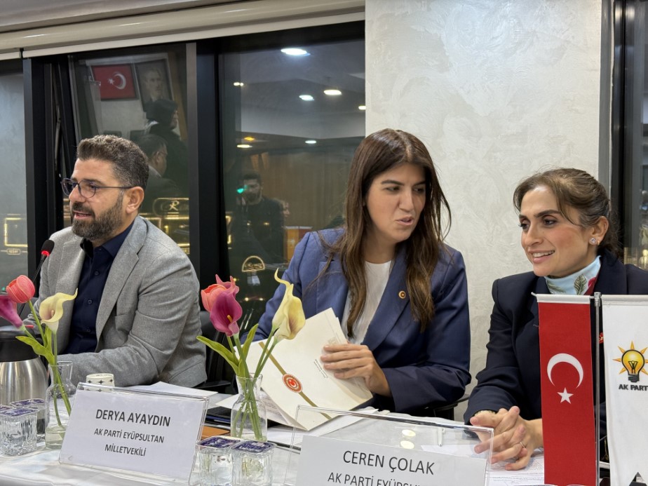 İstanbul Milletvekili Ayaydın: 