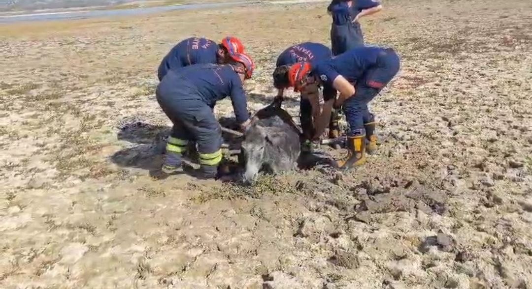 Çamura saplanan eşeği itfaiye ekipleri kurtardı