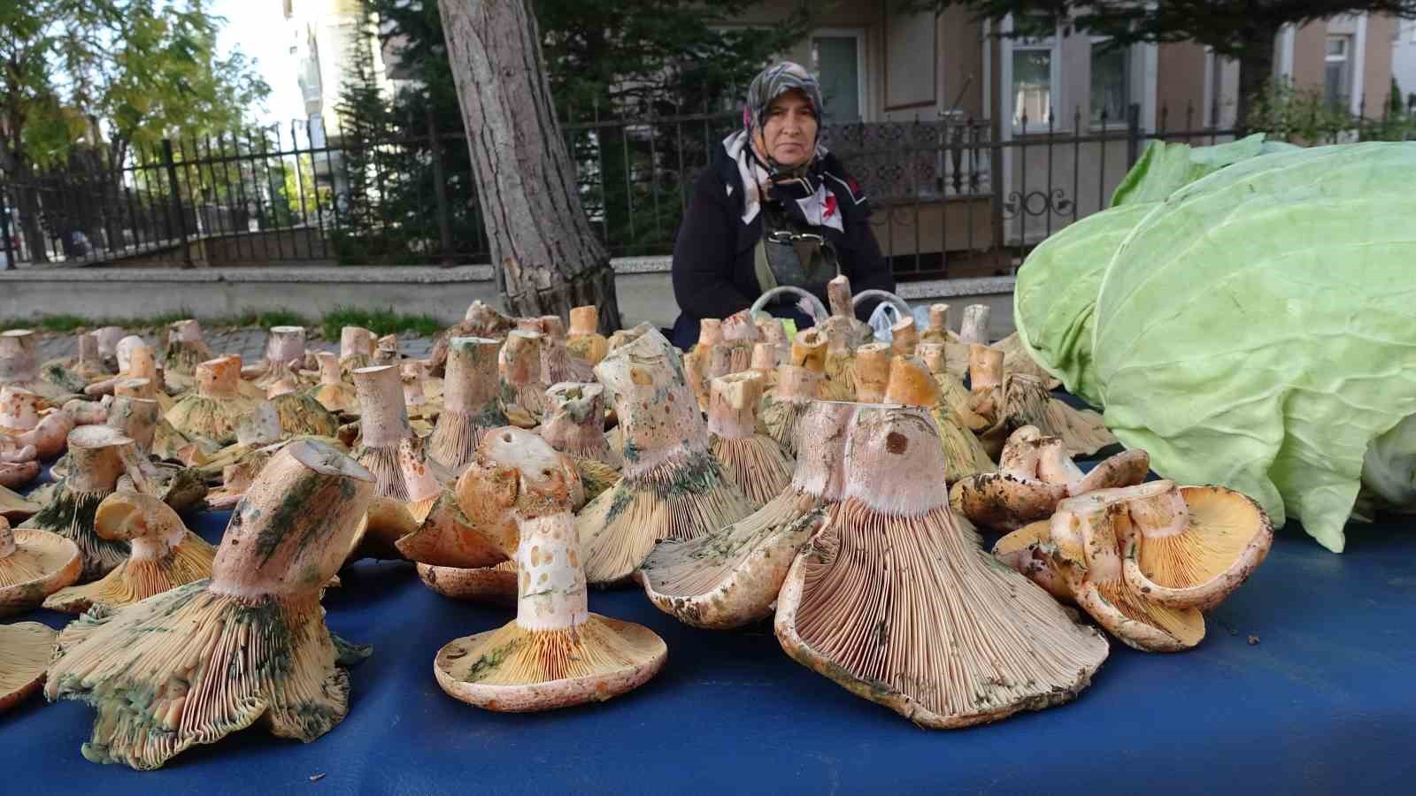 Kütahya’da ’Melki’ bereketi