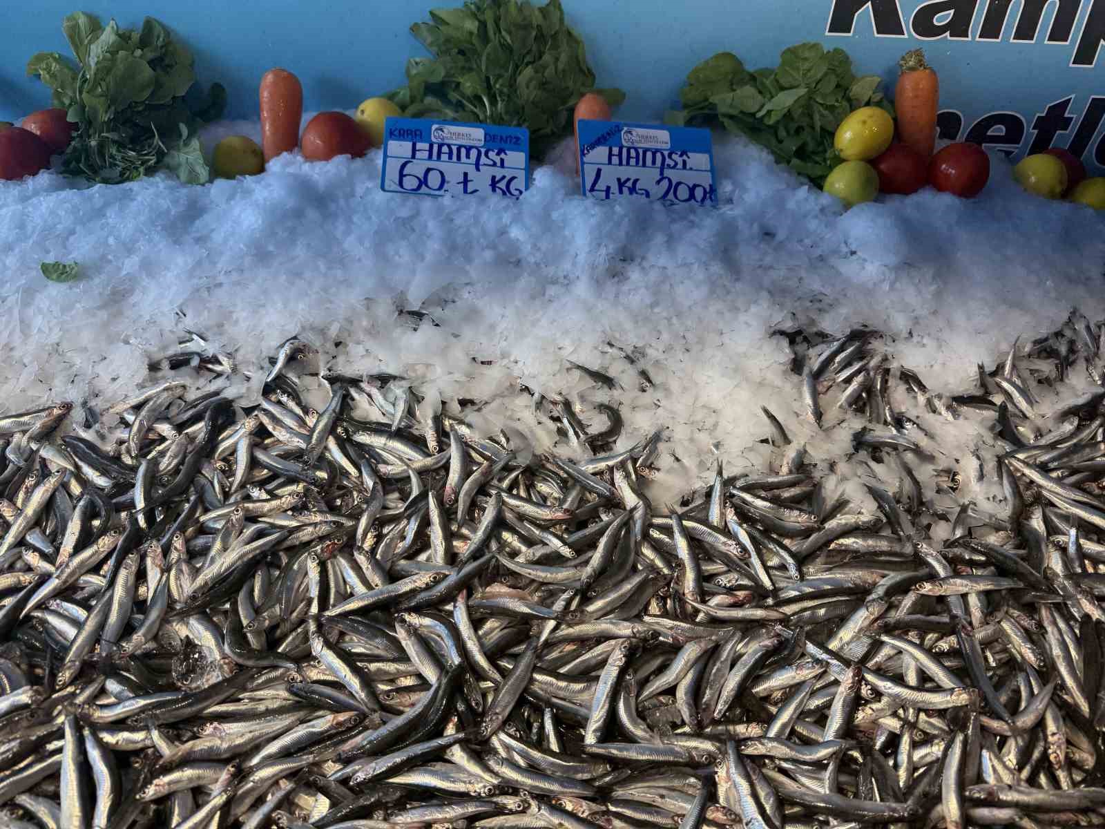 Hamsi fiyatı yüzleri güldürdü, kilosu 60 liraya düştü