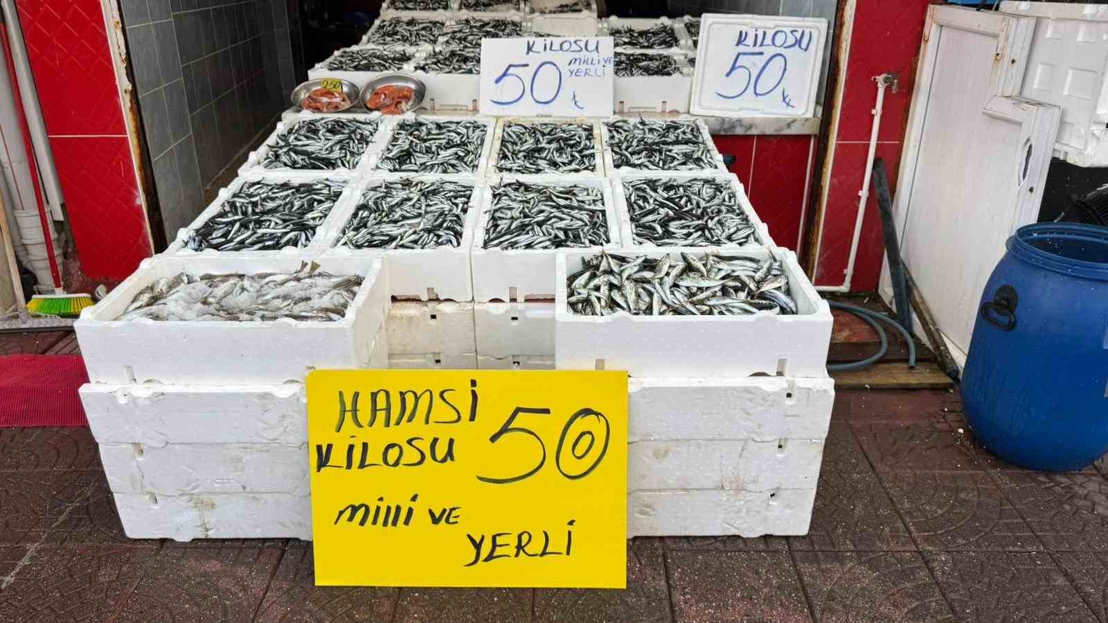 Rize’de hamsinin fiyatı sevenlerinin yüzünü güldürüyor