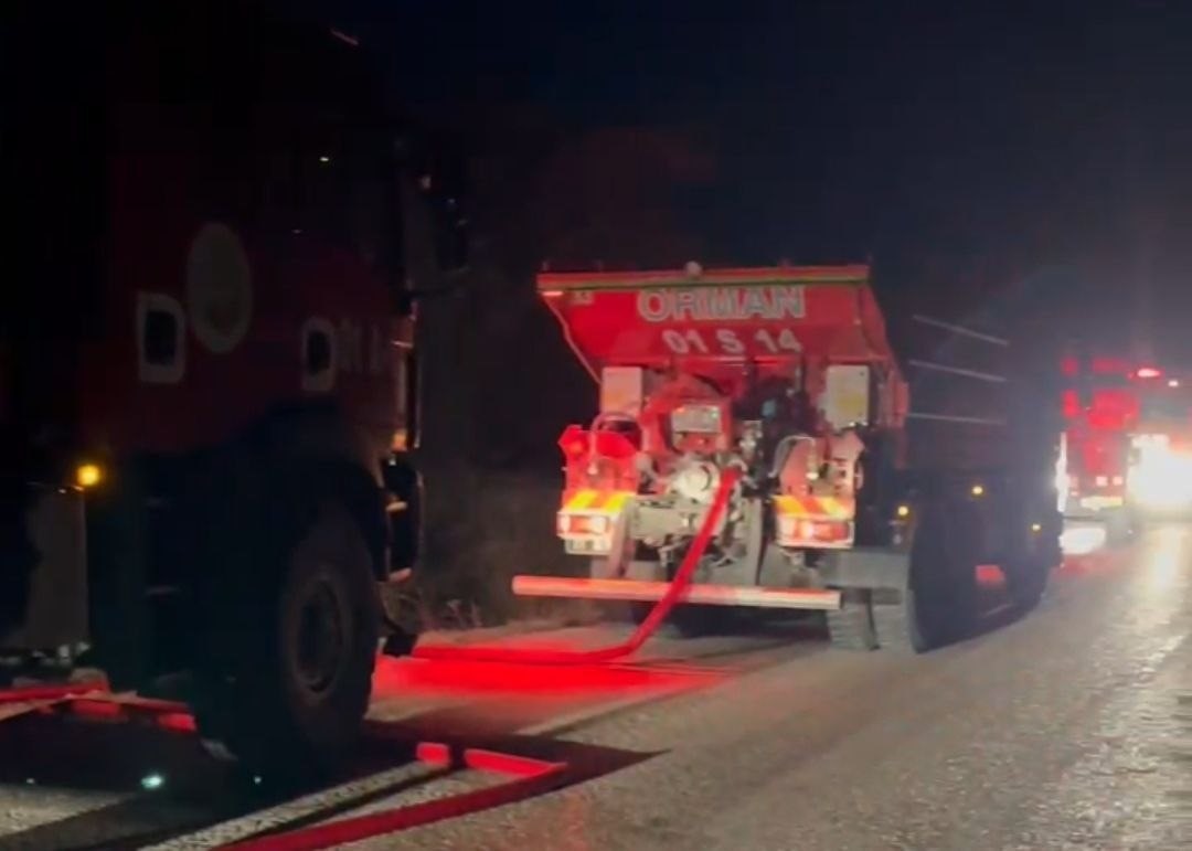 Adana’da orman yangını büyümeden söndürüldü