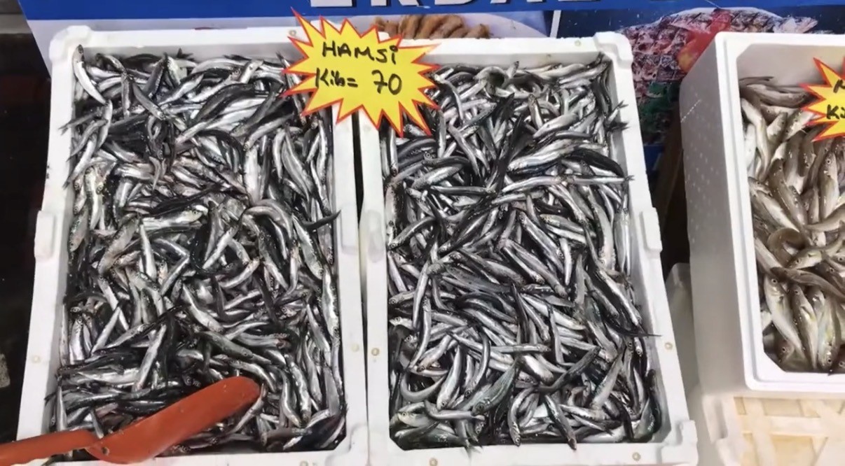 Akçakoca’dan balık tüketicilerine uyarı: 