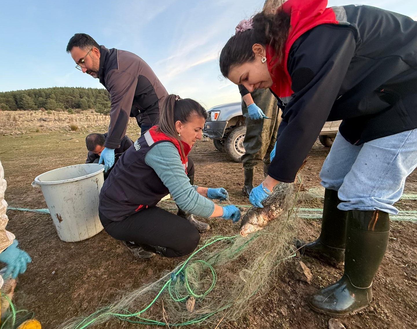 Bolu’da 5 kilometrelik hayalet ağ toplandı: 500 balık canlı kurtarıldı
