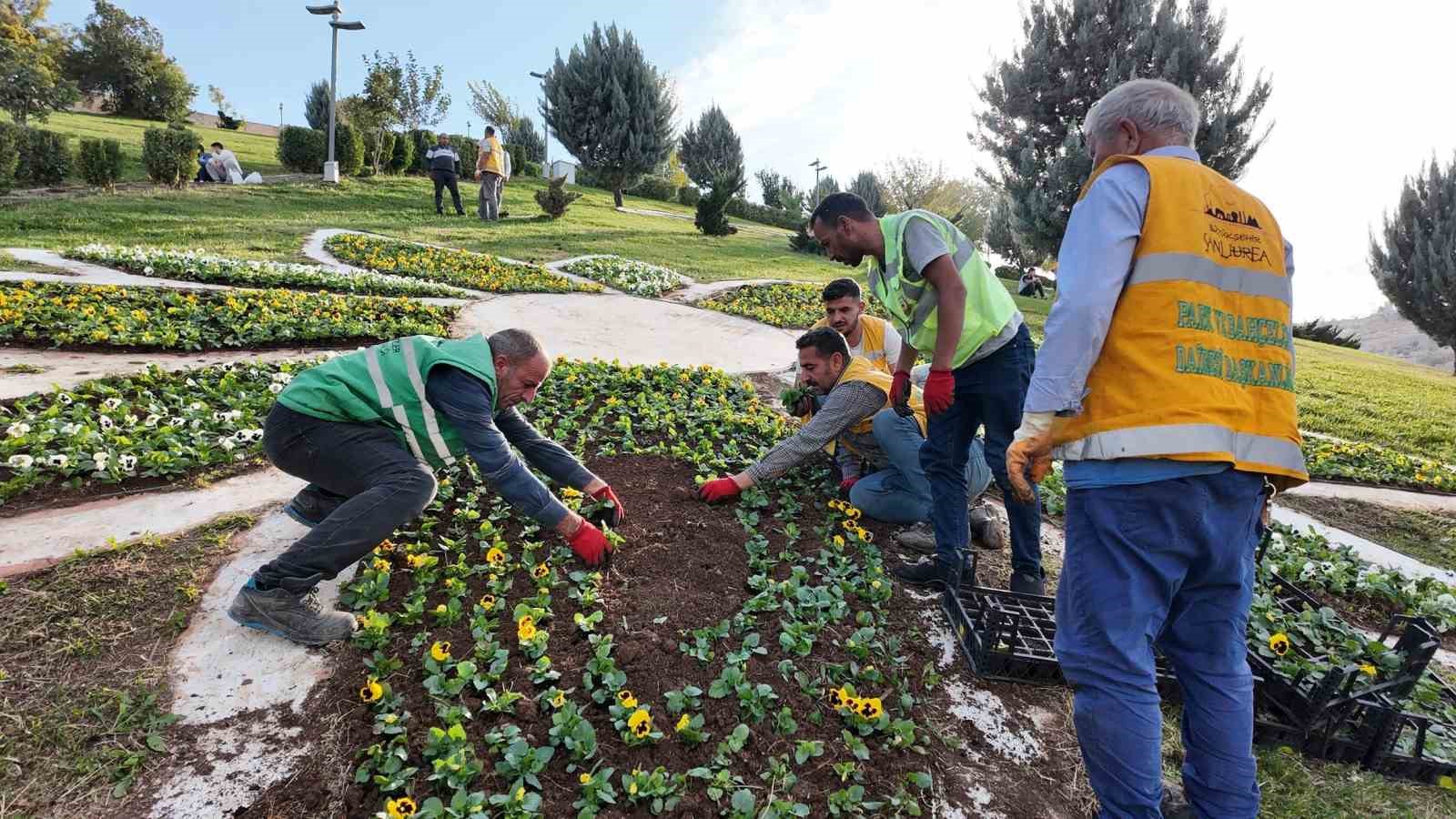 Şanlıurfa’da 400 bin çiçek toprakla buluşuyor