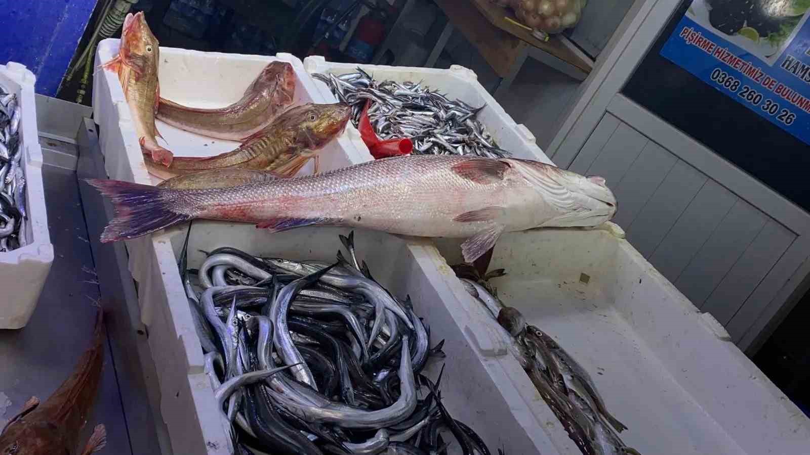 Oltayla yakalanan deniz levreği 9 bin liraya satıldı