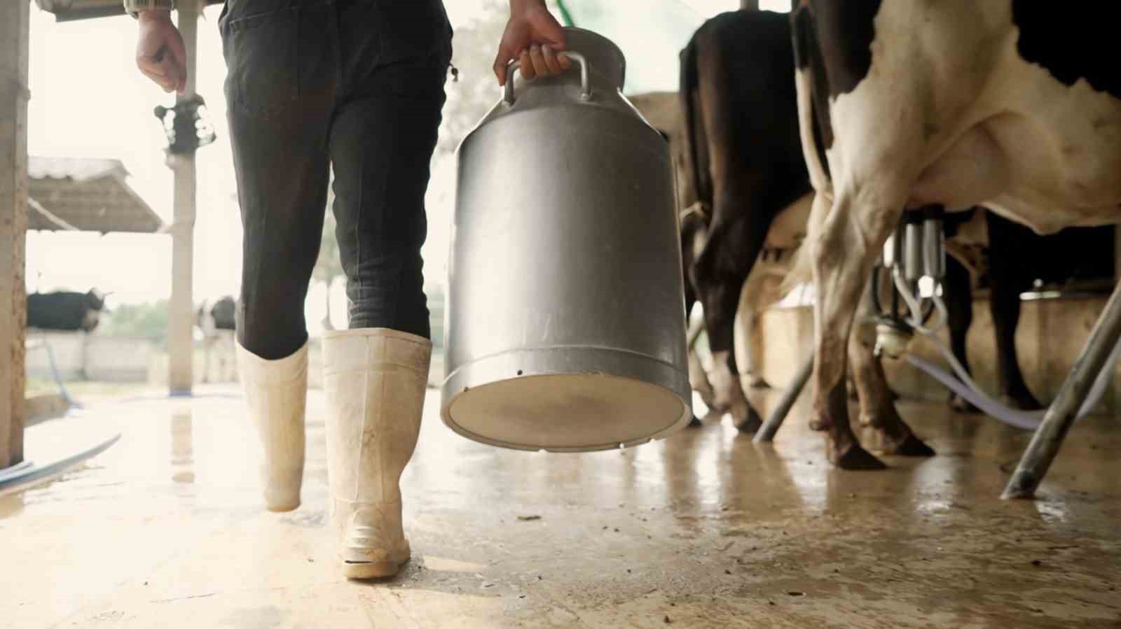 Aydın’da 9 bin 543 üreticiye toplam 66 milyon TL ödeme yapılacak