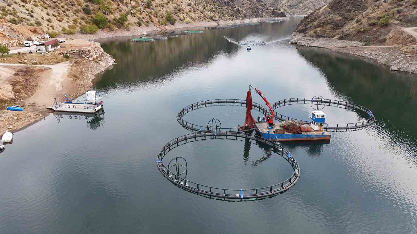 Diyarbakır’da 500 ton kapasiteli tesisten dünyaya 