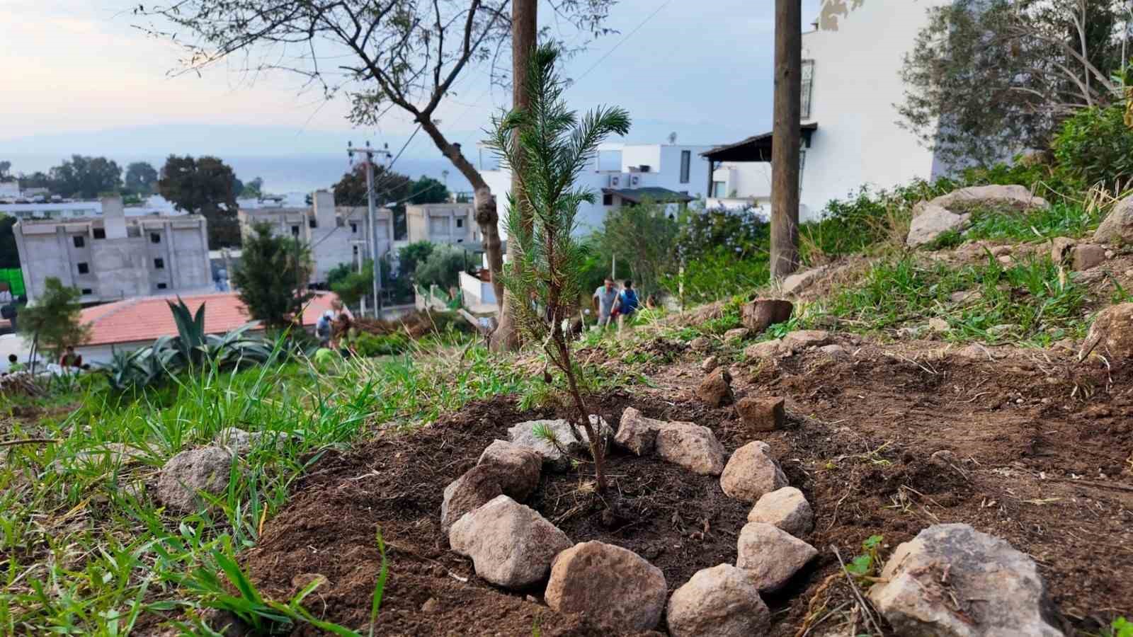 Bodrum Belediyesi çocukları doğayla buluşturdu