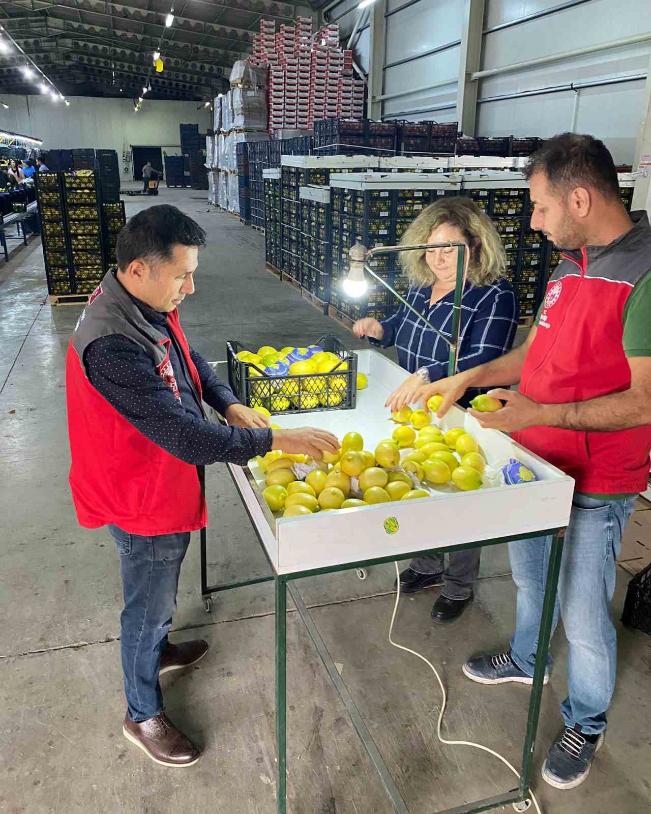 Ortaca’da ihracata giden ürünlere onay